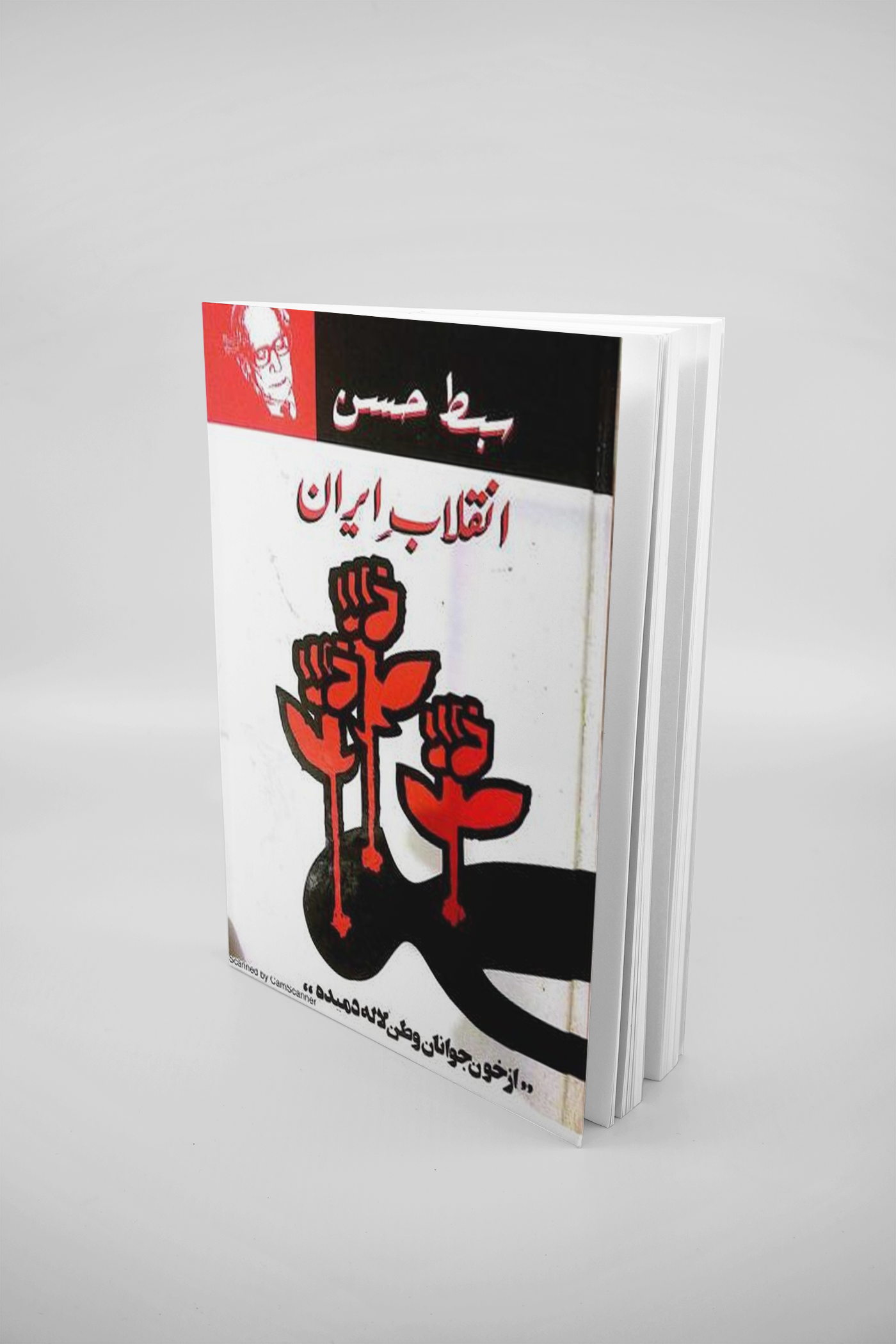 انقلاب ایران